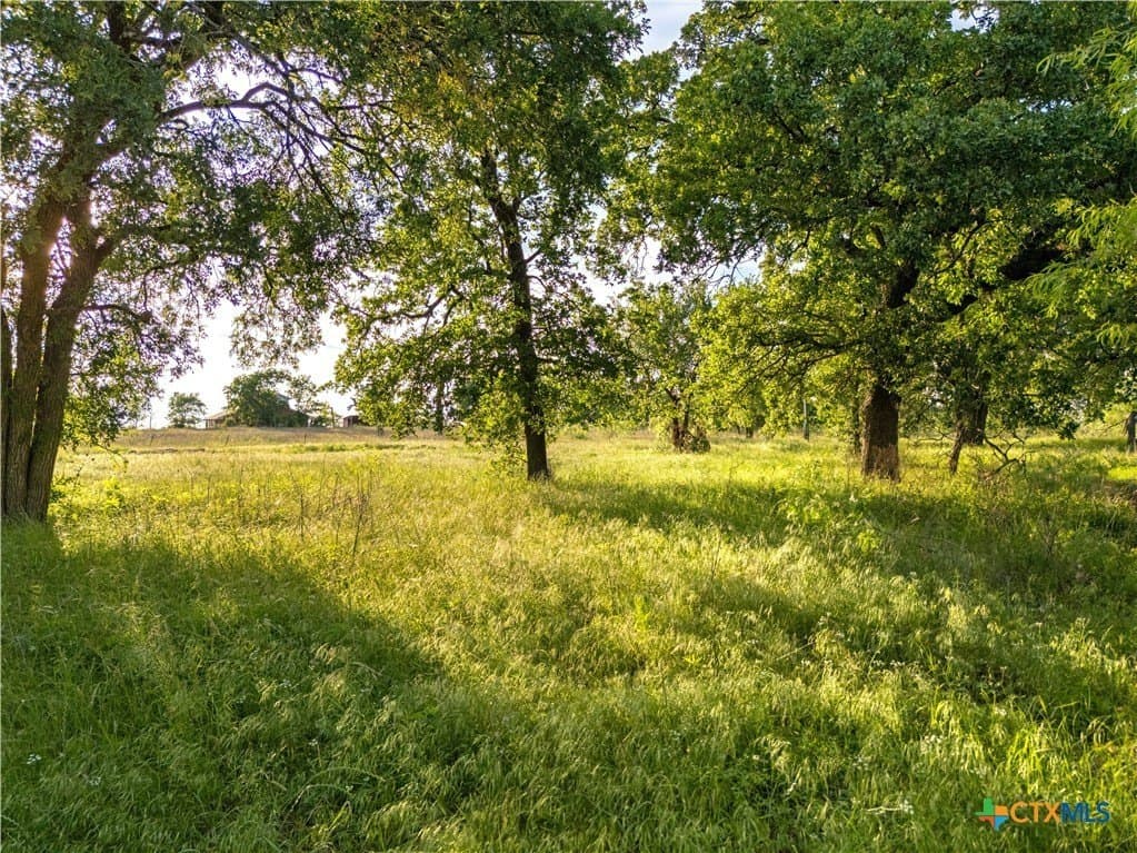 28 acres in Texas County - photo 9