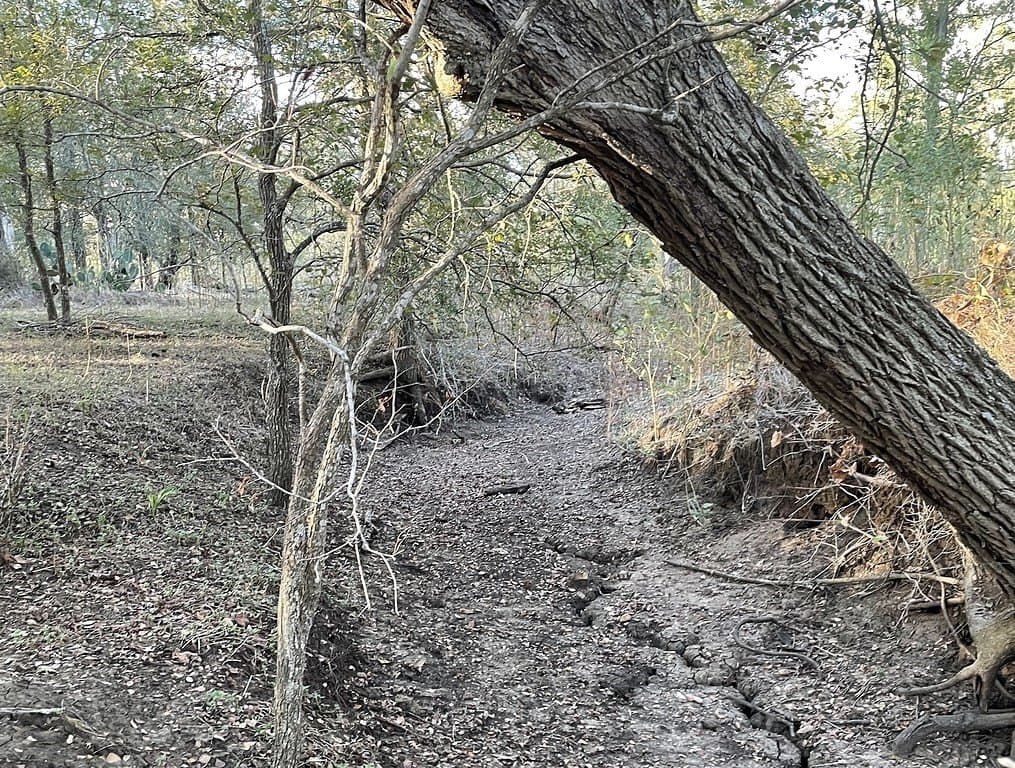 55 acres in Gonzales County - photo 3
