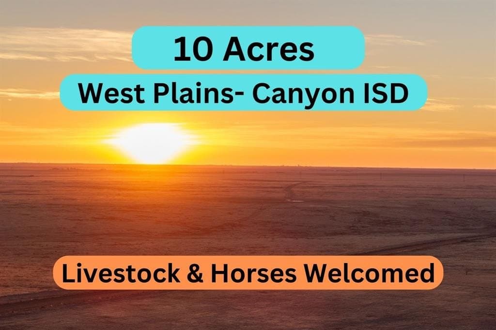 10.01 acres in Randall County