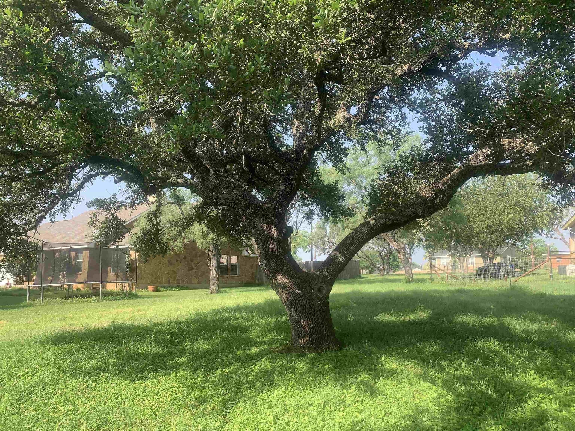 0.39 acres in Llano County - photo 7