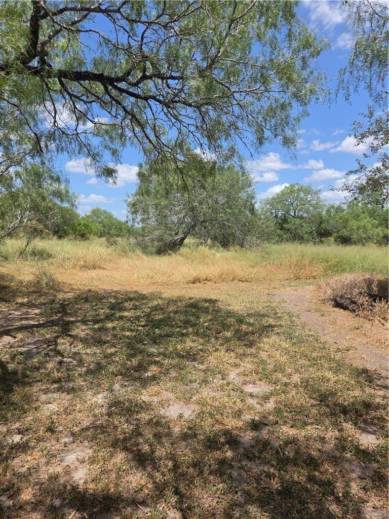100,000 acres in Jim Wells County - photo 6