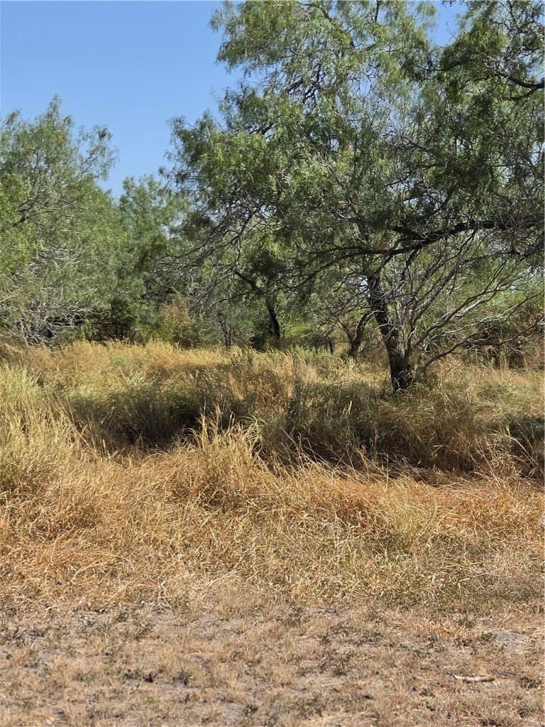 100,000 acres in Jim Wells County - photo 8