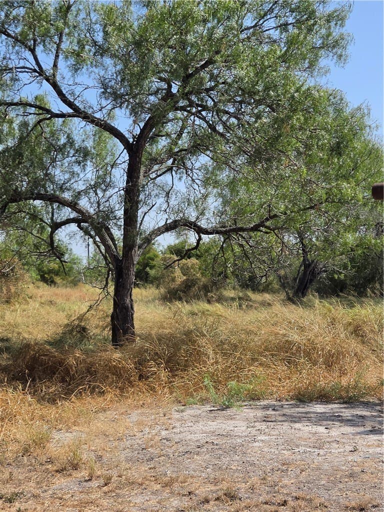 100,000 acres in Jim Wells County - photo 9