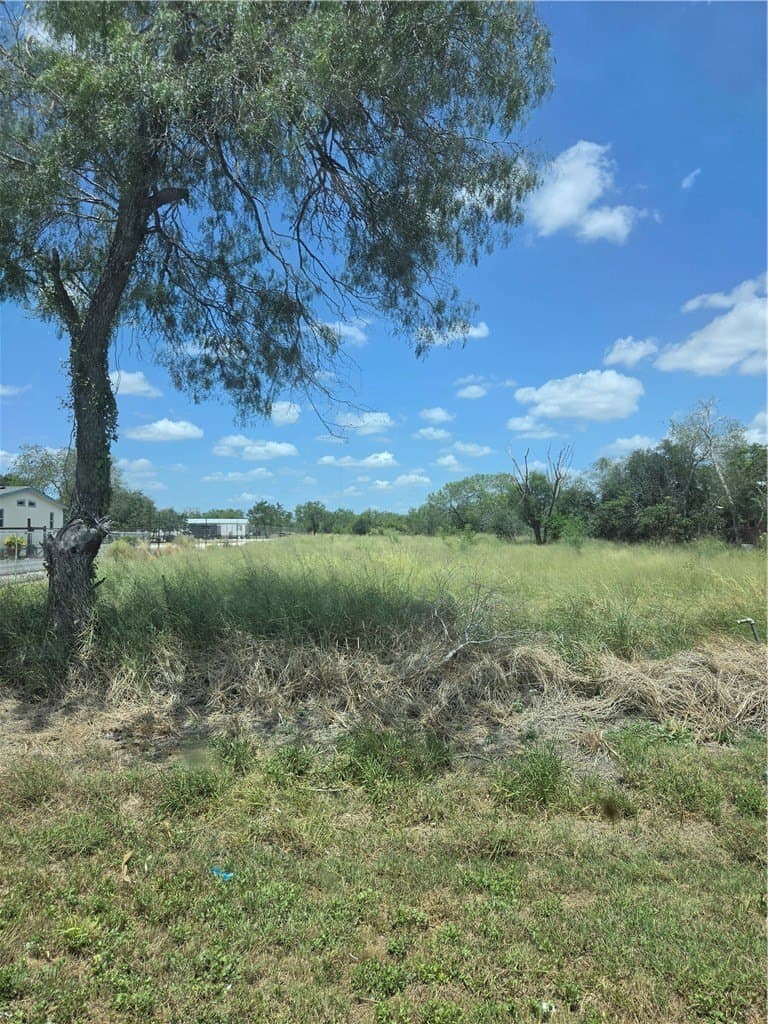 100,000 acres in Jim Wells County - photo 4