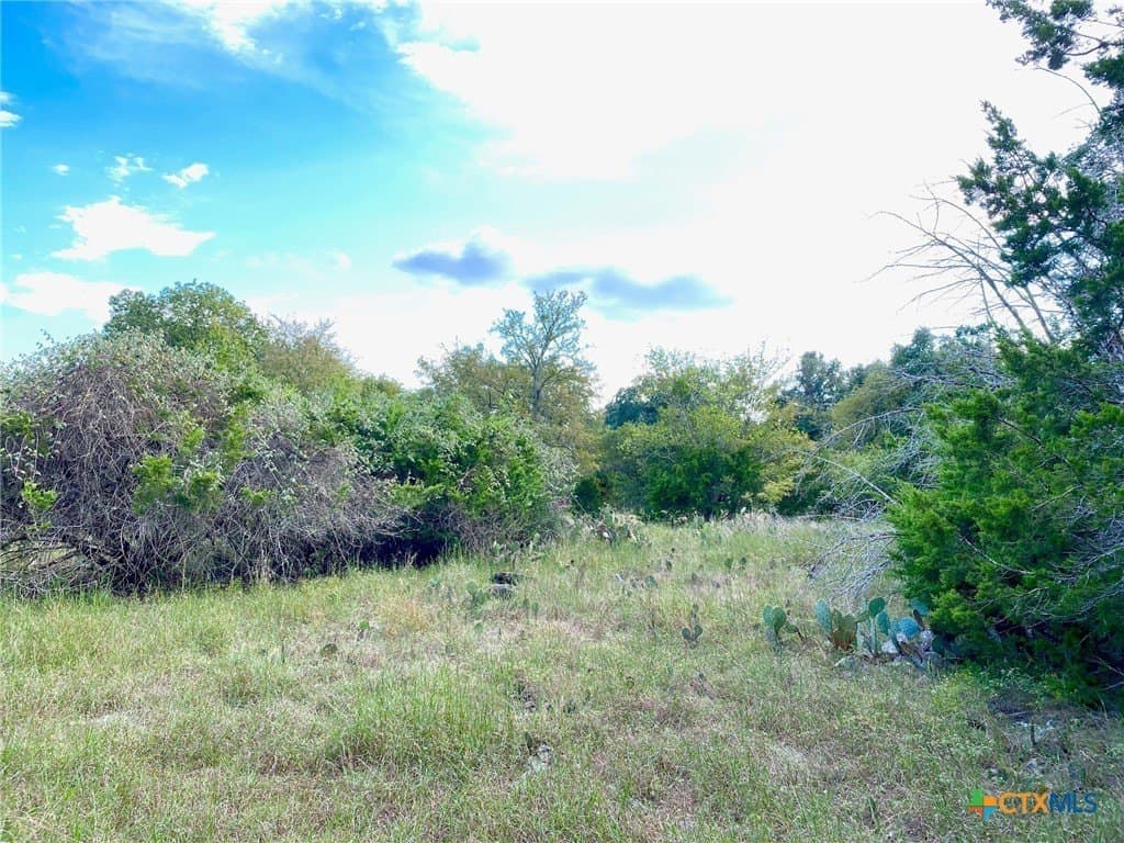 3.62 acres in Bell County gallery image 4