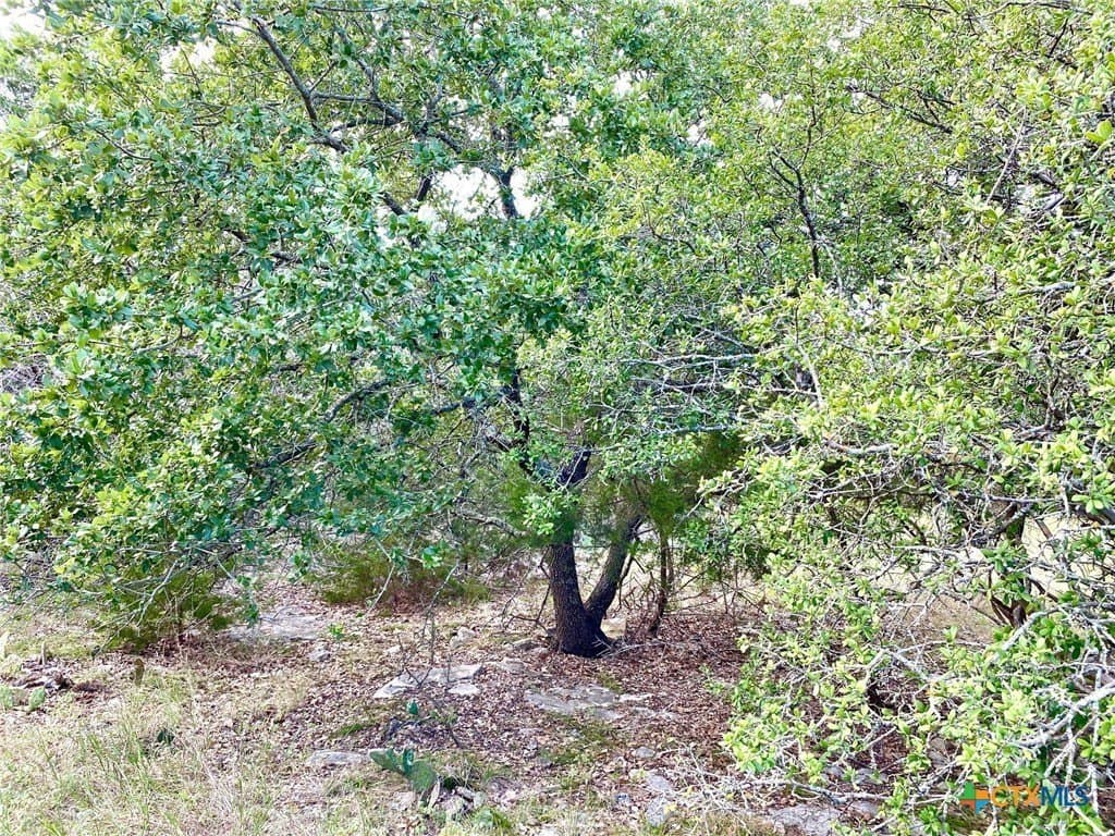 3.62 acres in Bell County gallery image 2