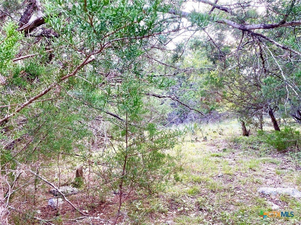 3.62 acres in Bell County gallery image 3