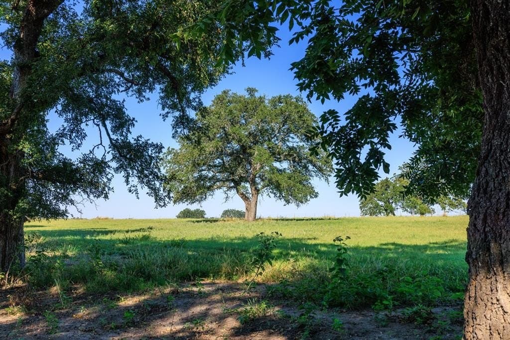 129.8 acres in Gillespie County - photo 73