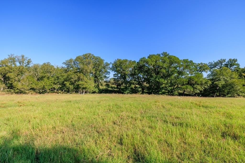 129.8 acres in Gillespie County - photo 70