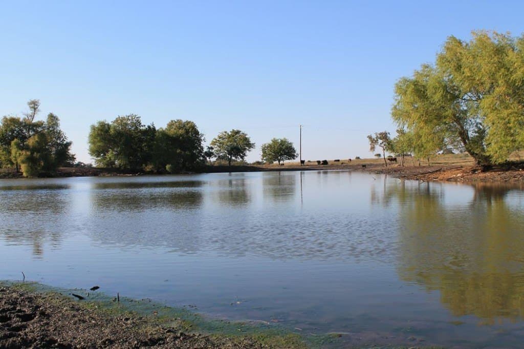 65.05 acres in Fayette County - photo 7