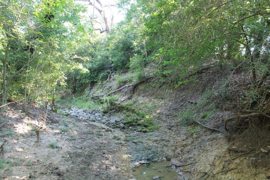 65.05 acres in Fayette County - photo 11
