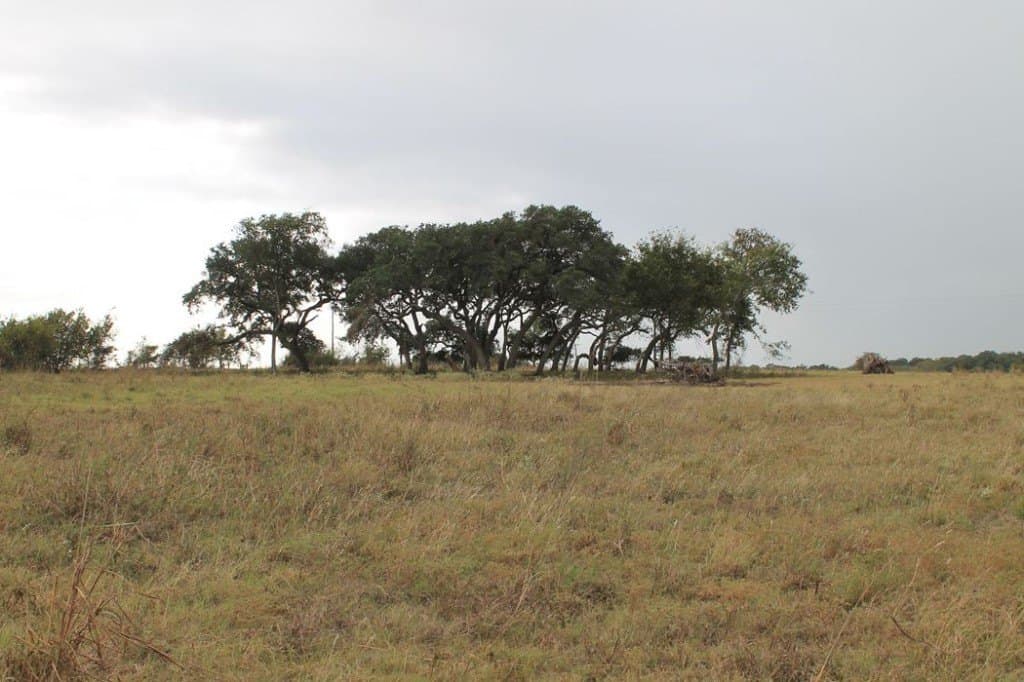 65.05 acres in Fayette County - photo 18
