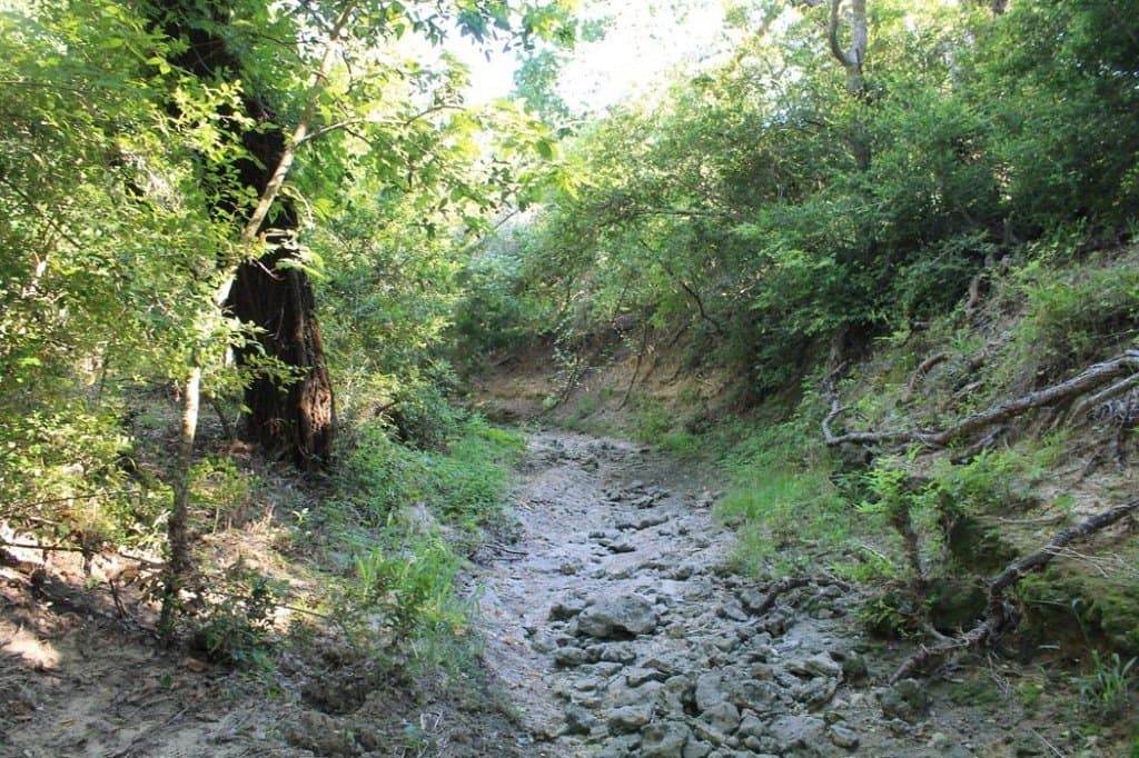 65.05 acres in Fayette County - photo 10