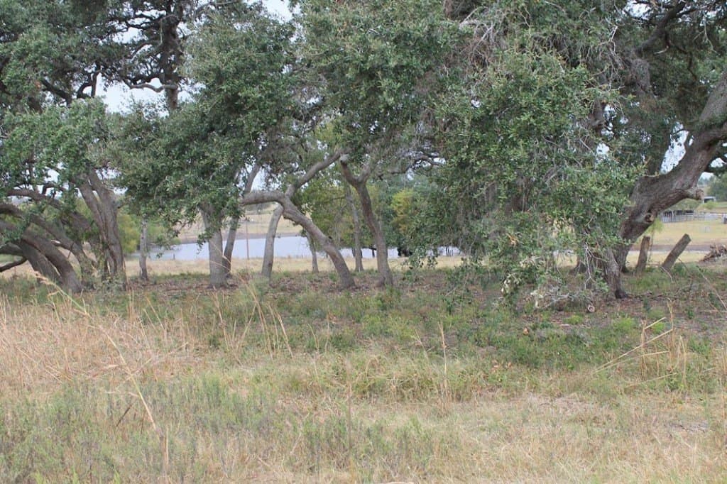65.05 acres in Fayette County - photo 5