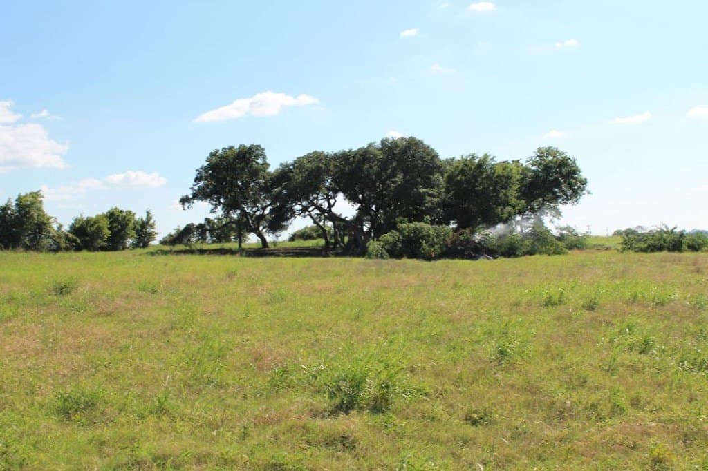 65.05 acres in Fayette County - photo 3