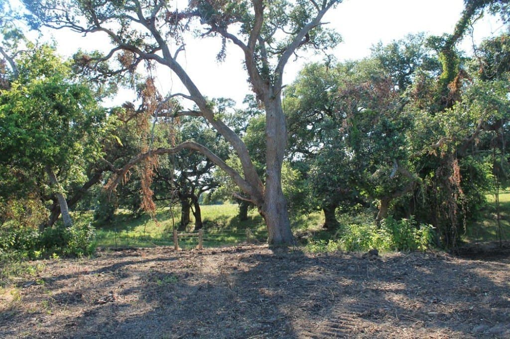 65.05 acres in Fayette County - photo 8