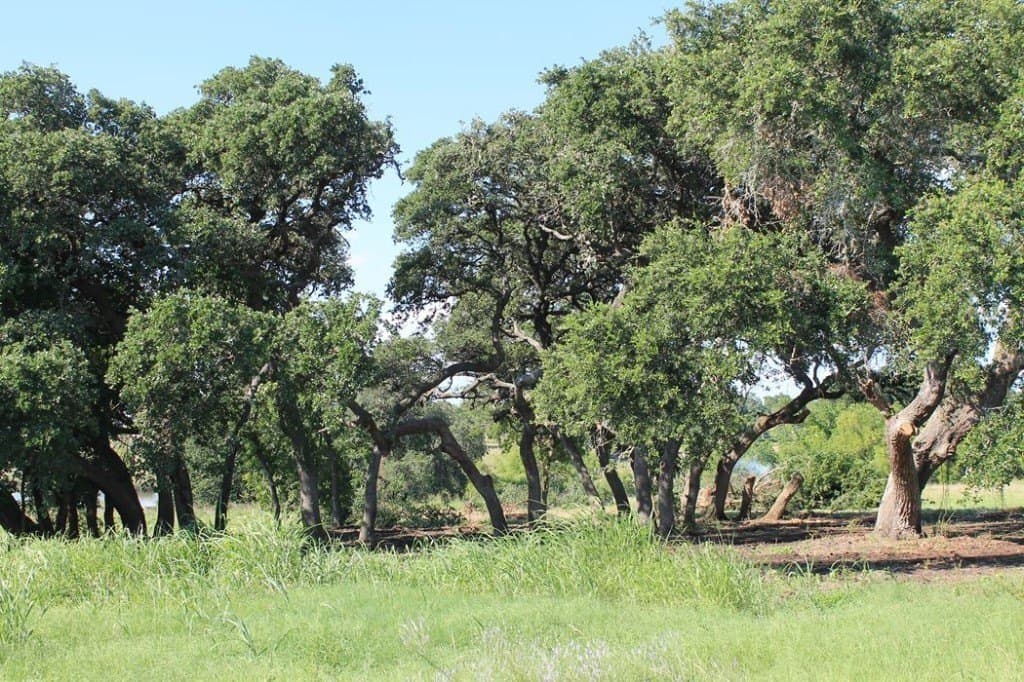 65.05 acres in Fayette County - photo 16
