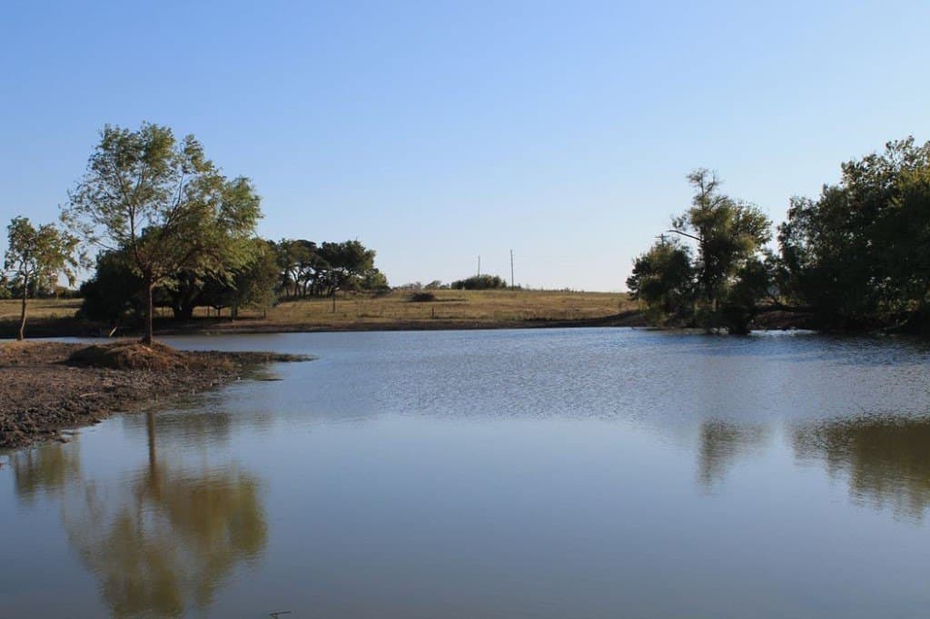 65.05 acres in Fayette County - photo 6