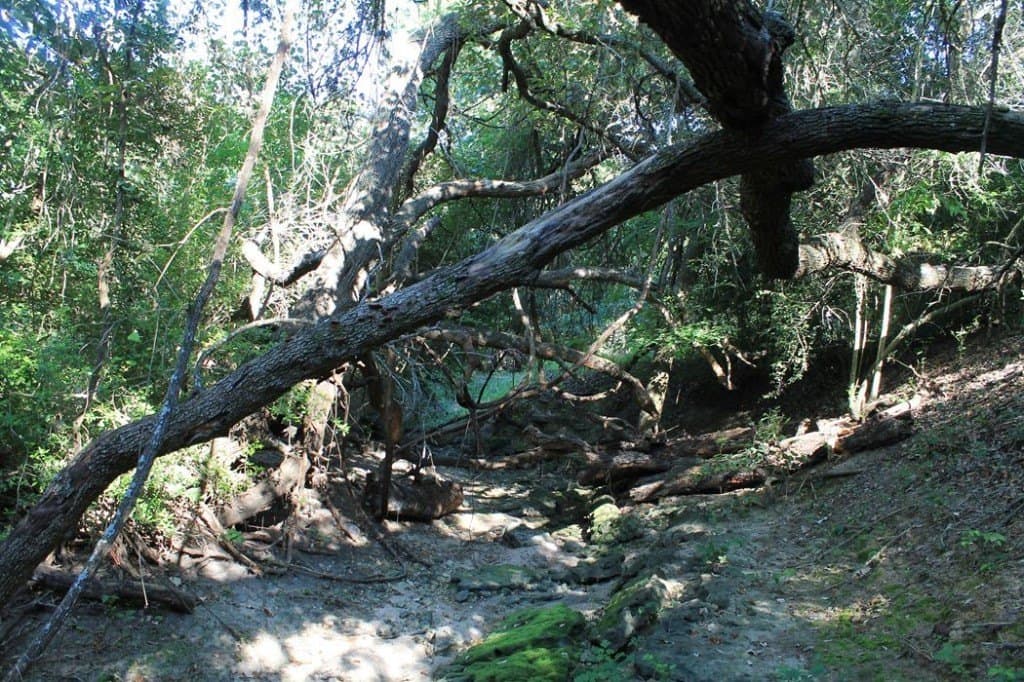 65.05 acres in Fayette County - photo 9