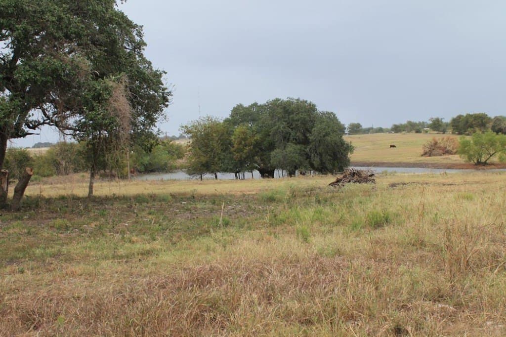 65.05 acres in Fayette County - photo 4