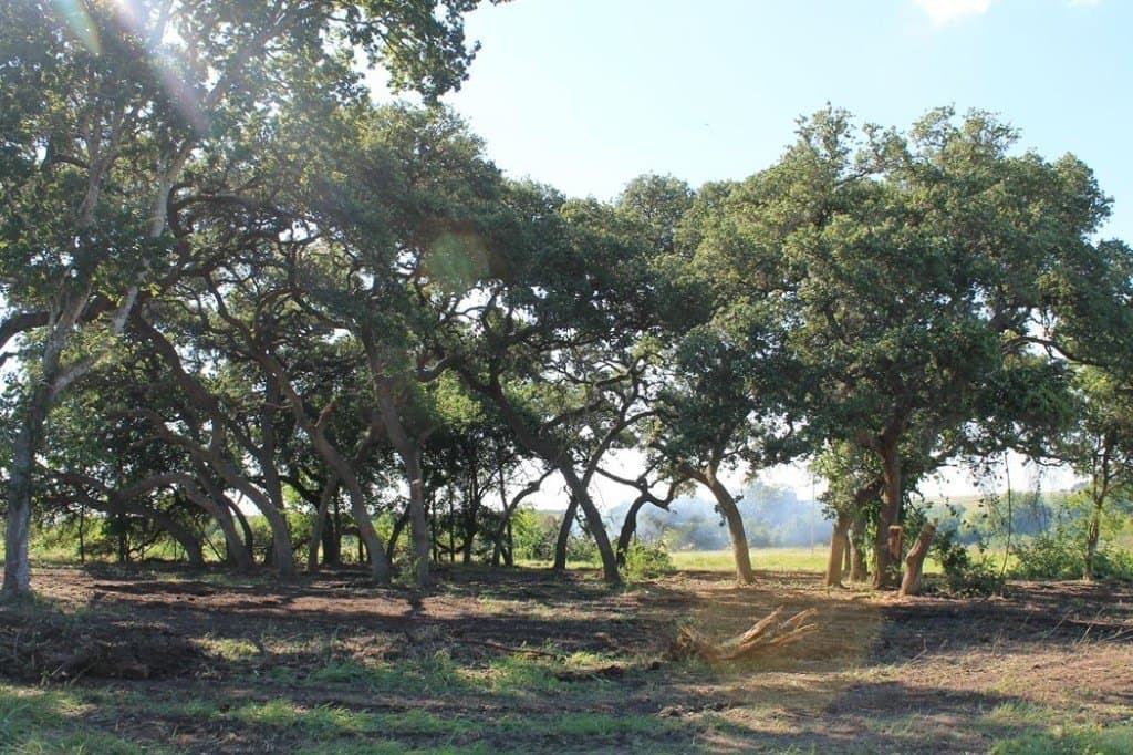 65.05 acres in Fayette County - photo 13
