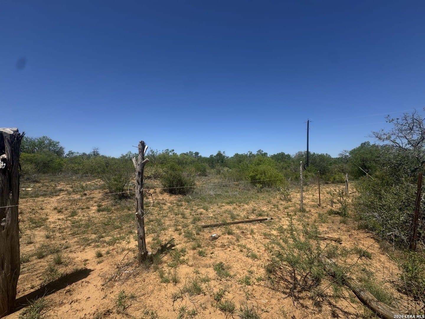 6.5 acres in Atascosa County gallery image 2
