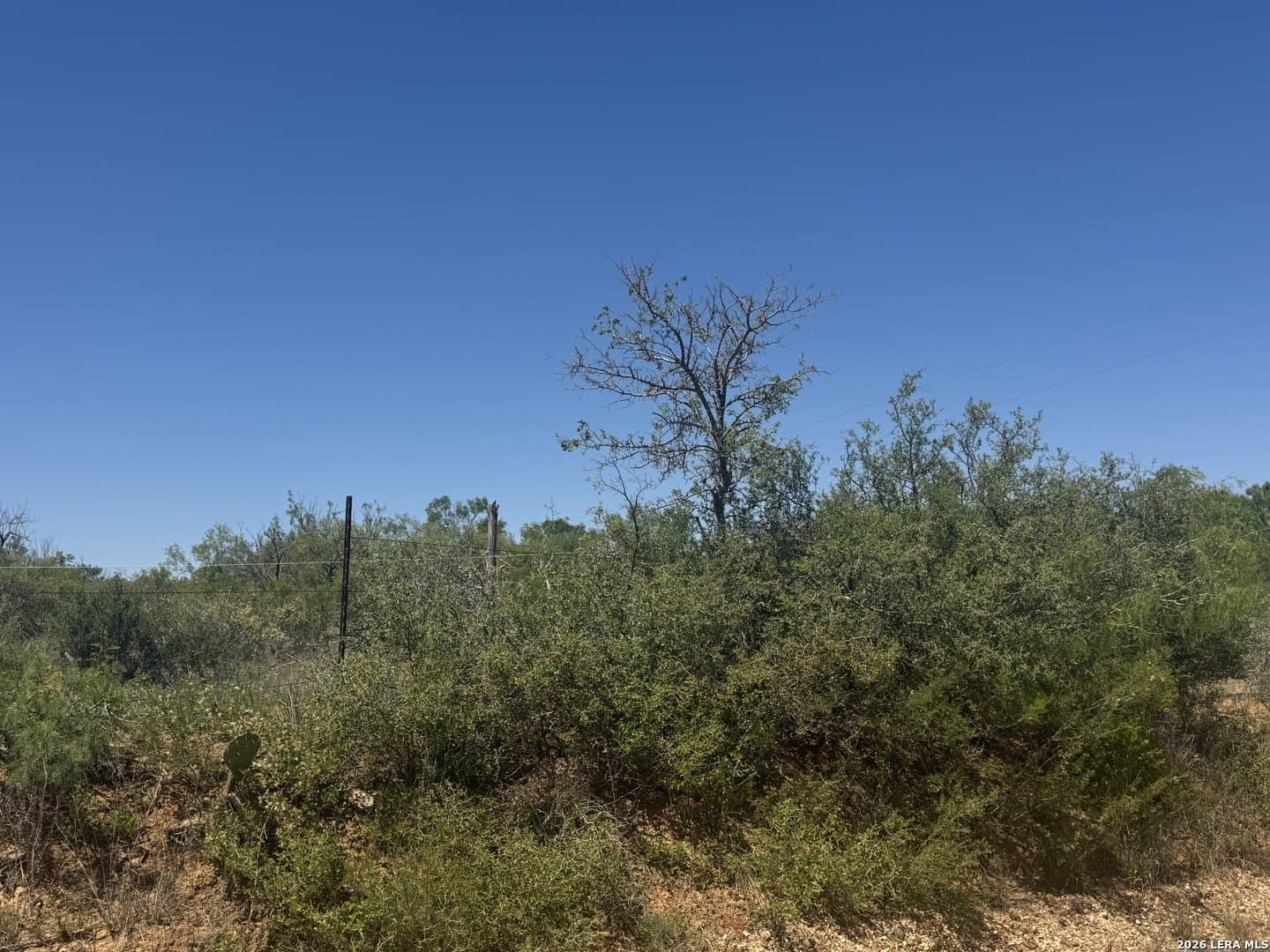 6.5 acres in Atascosa County gallery image 4