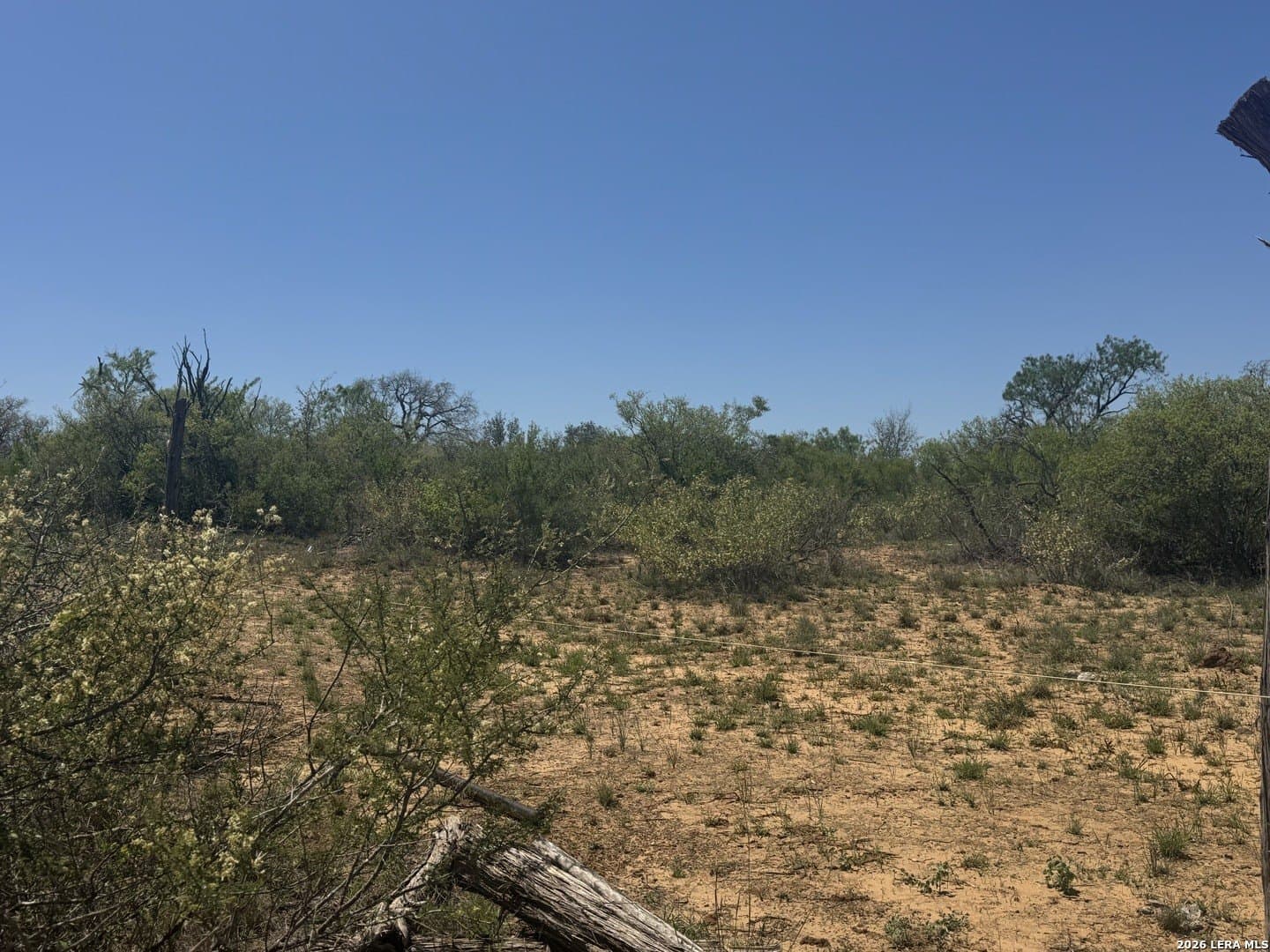 6.5 acres in Atascosa County gallery image 3