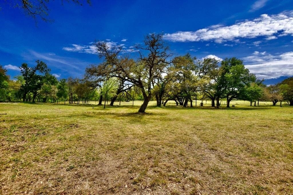 11.78 acres in Burnet County gallery image 4