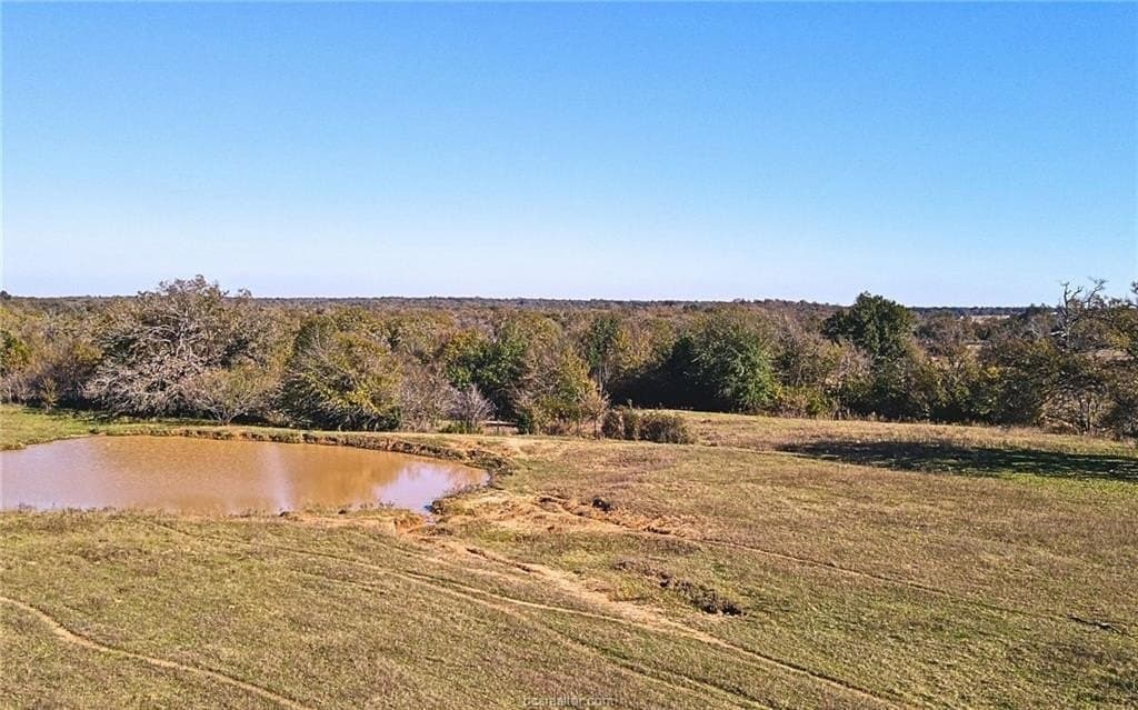 107.53 acres in Robertson County gallery image 4