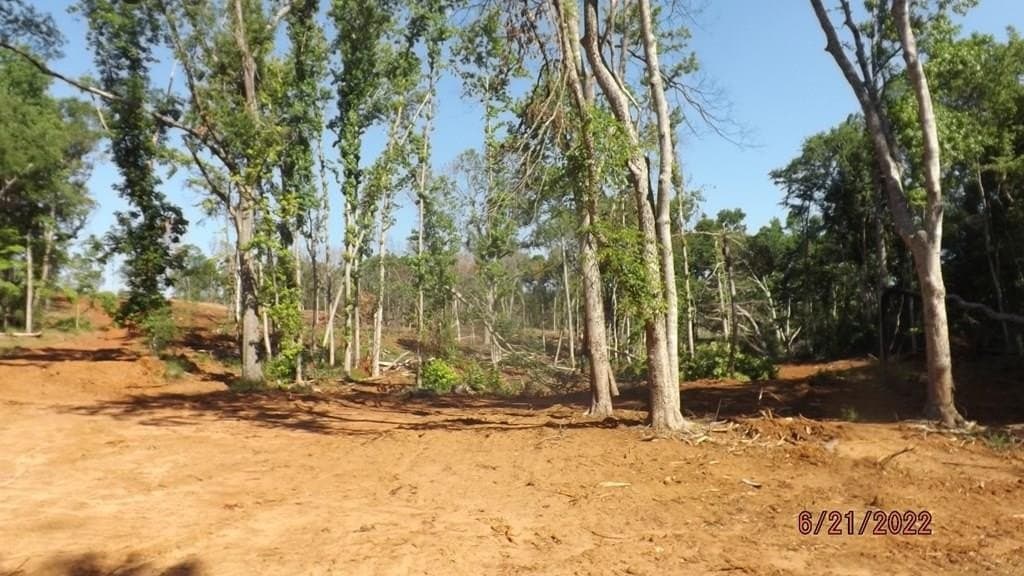 40.61 acres in ANDERSON County featured view