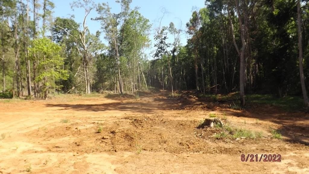 40.61 acres in ANDERSON County gallery image 3