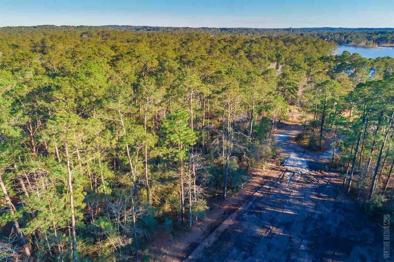 0.24 acres in Texas County - photo 9
