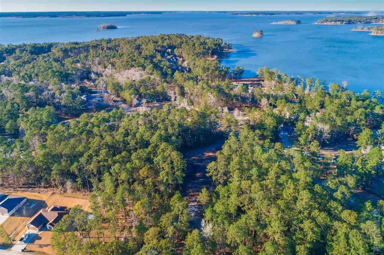 0.24 acres in Texas County - photo 2