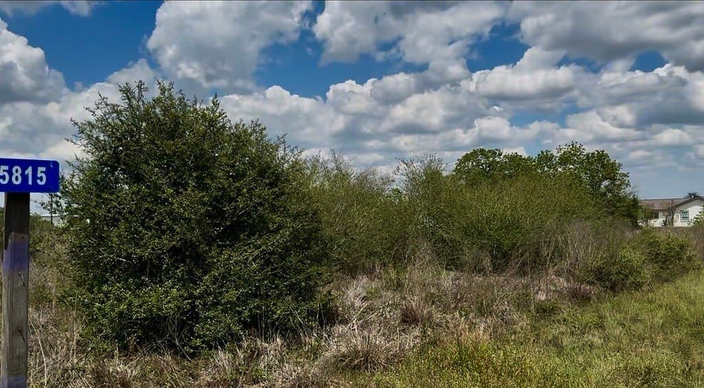 5.2 acres in Austin County gallery image 3