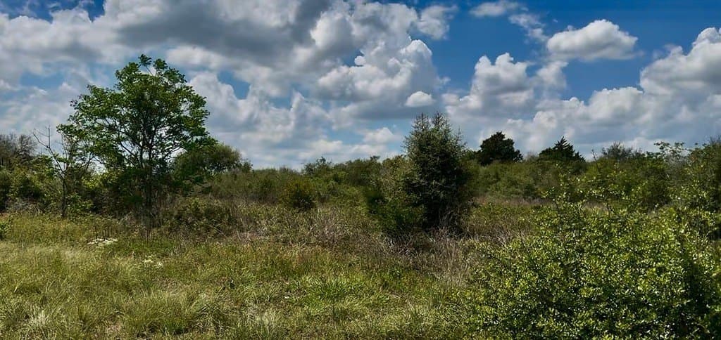 5.2 acres in Austin County featured view
