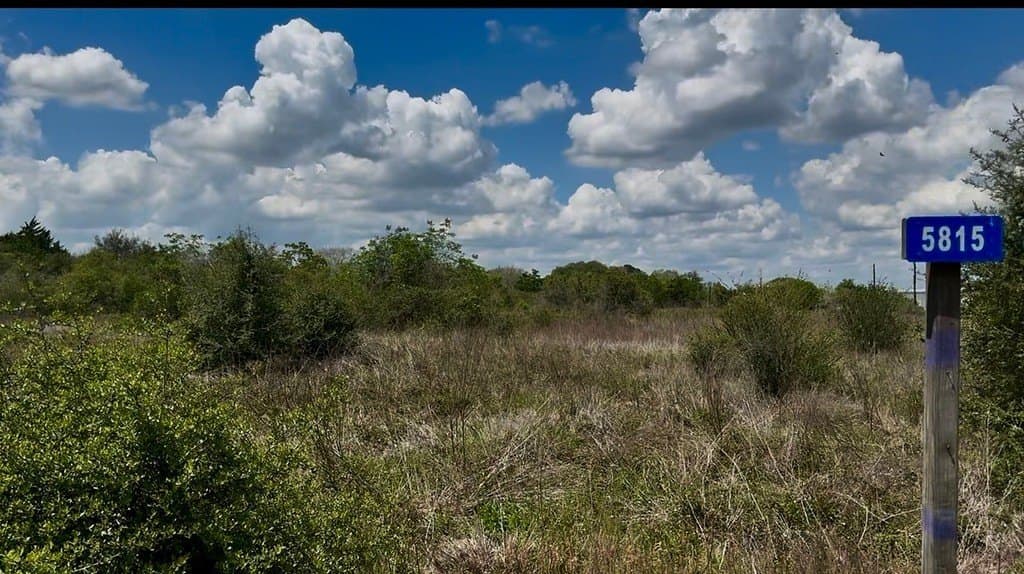 5.2 acres in Austin County gallery image 2