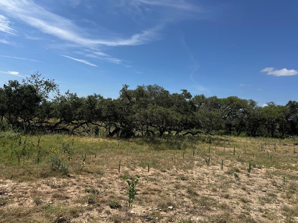 22.55 acres in Bandera County - photo 7