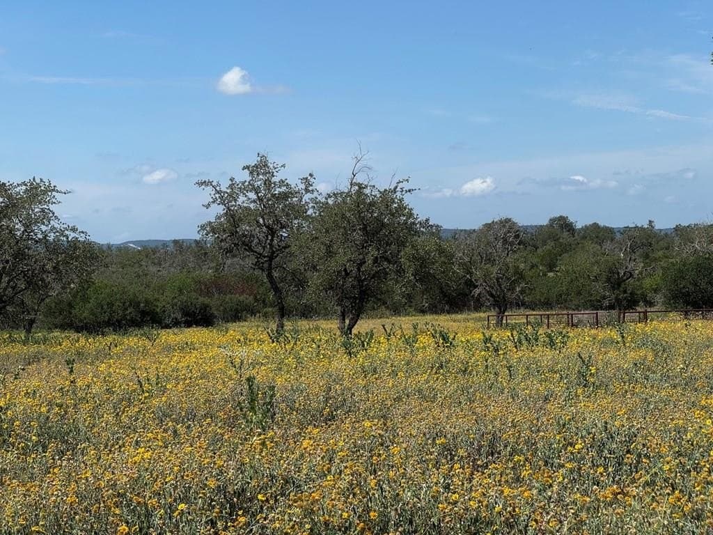 22.55 acres in Bandera County - photo 28