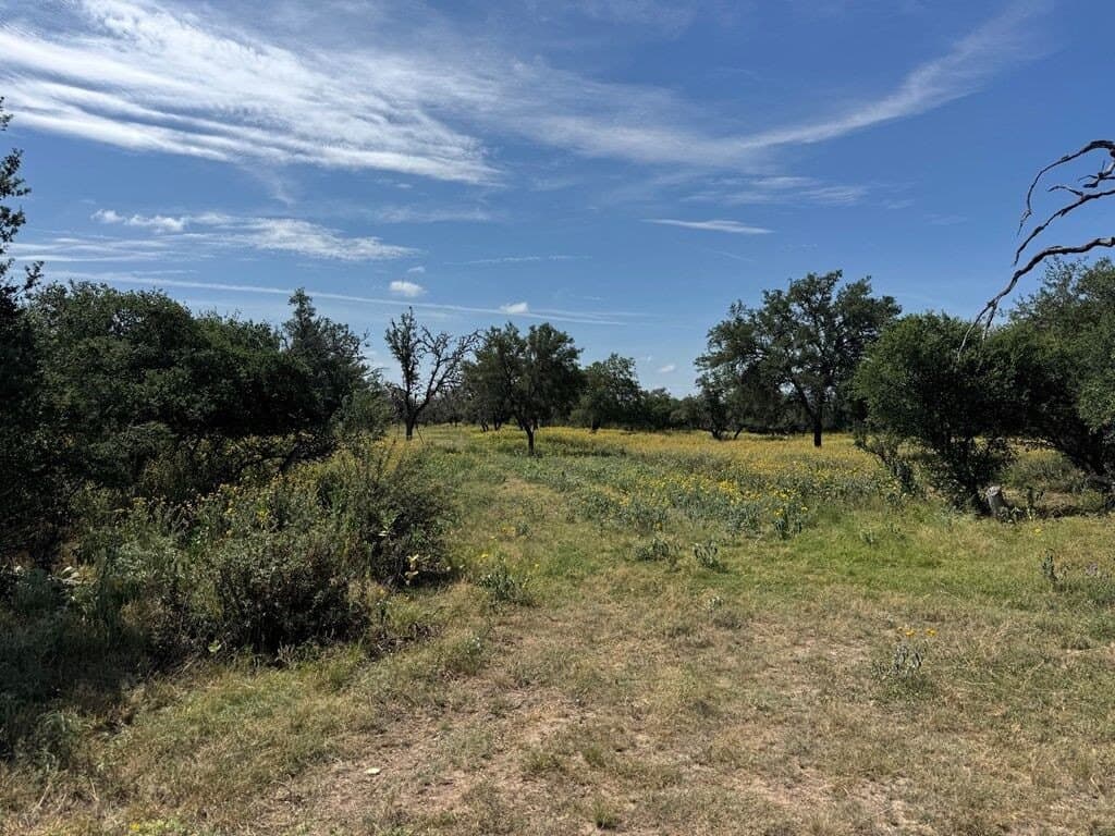 22.55 acres in Bandera County - photo 6