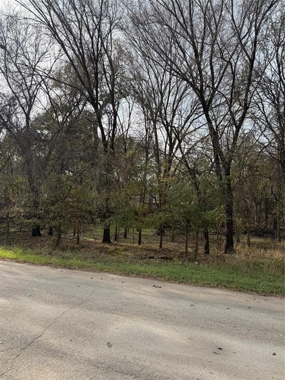 0.17 acres in Parker County gallery image 2