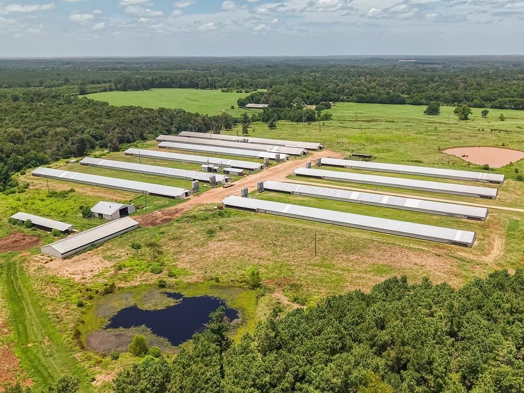 50 acres in Texas County - photo 8
