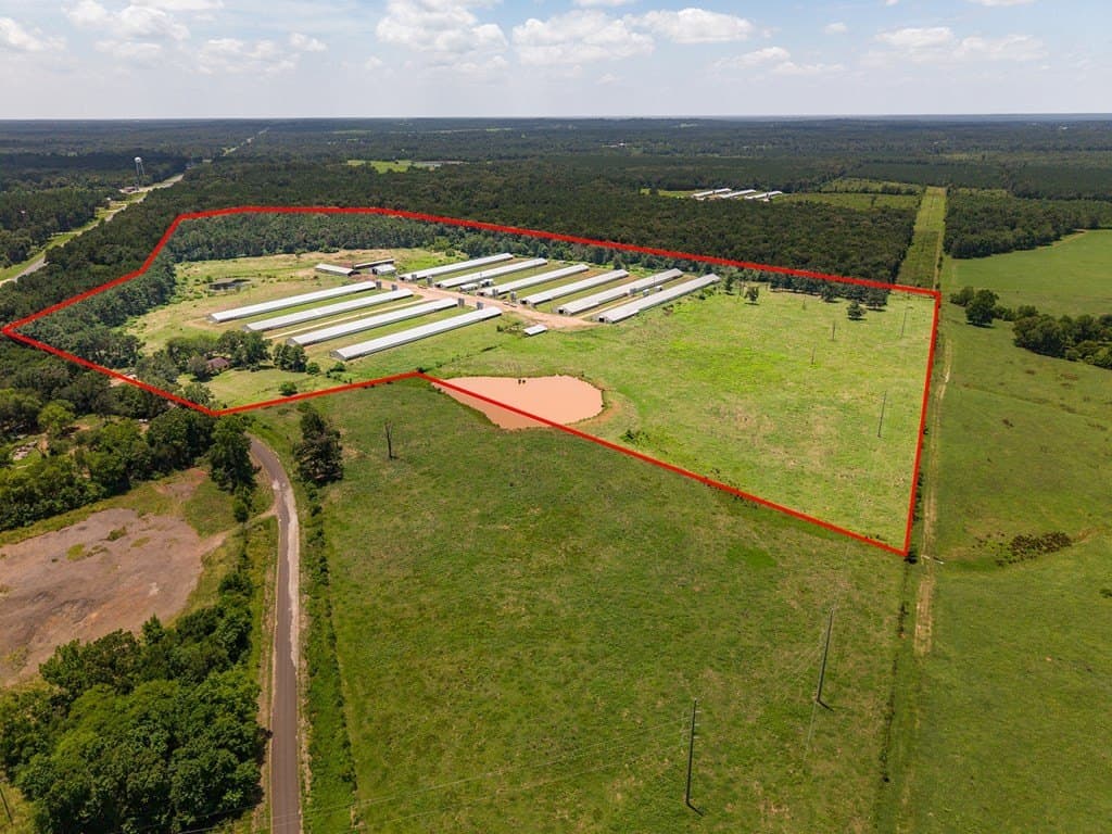 50 acres in Texas County - photo 6