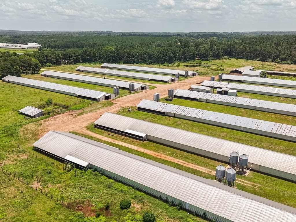 50 acres in Texas County - photo 11