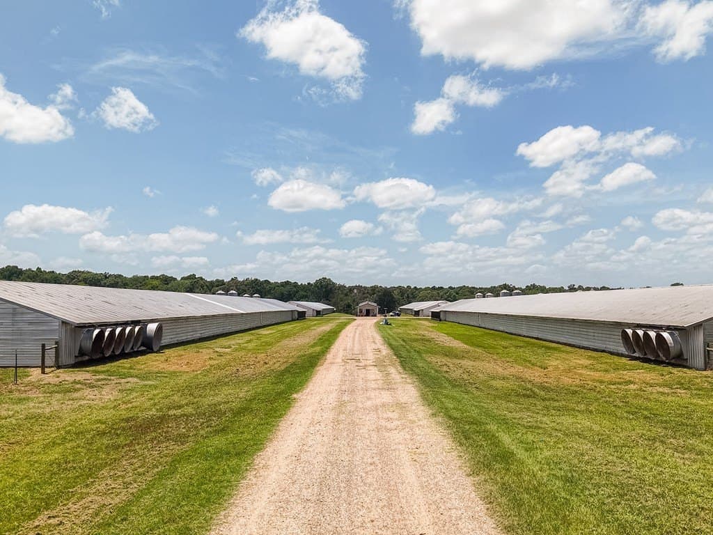 50 acres in Texas County - photo 10