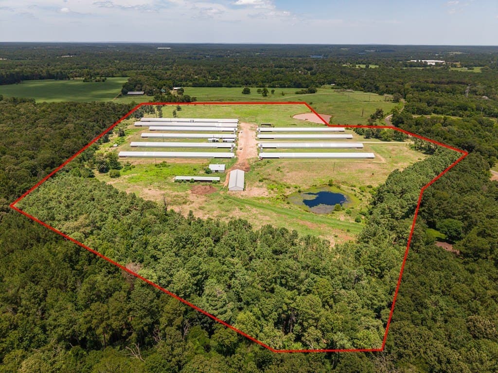 50 acres in Texas County gallery image 3