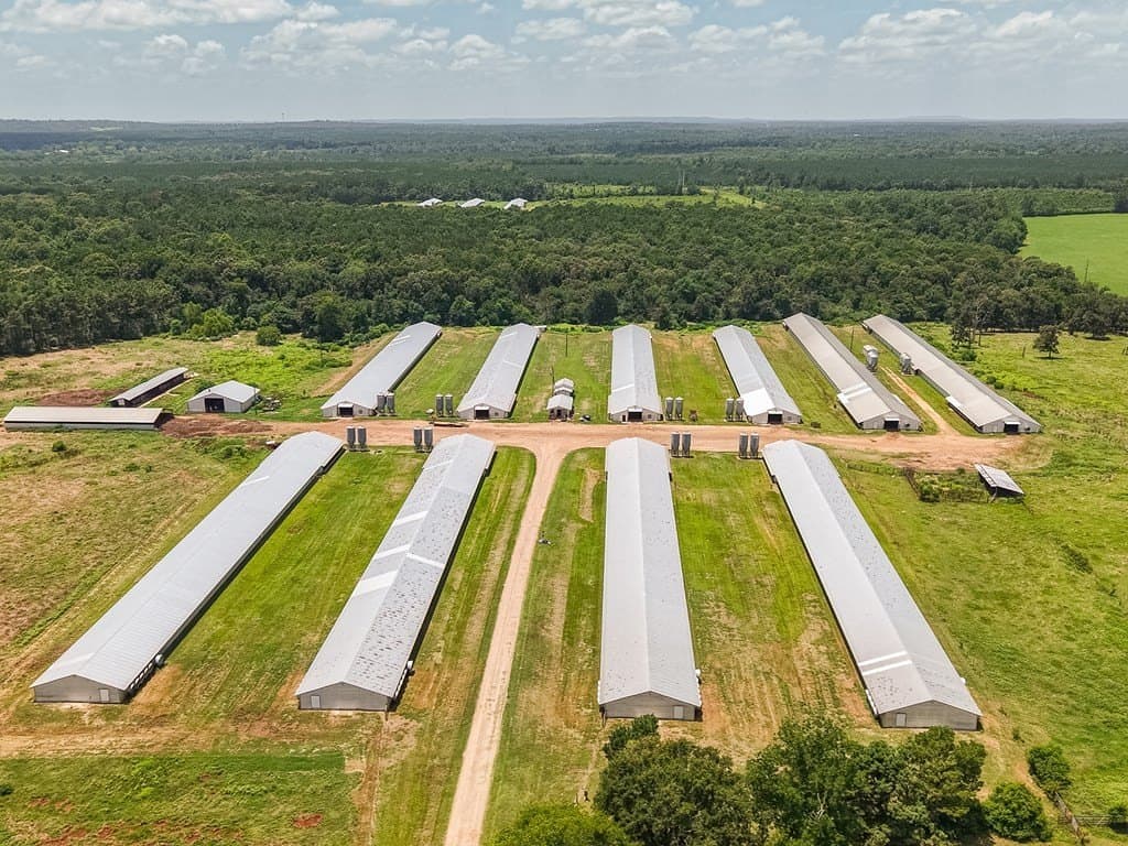 50 acres in Texas County - photo 9