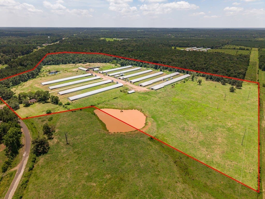50 acres in Texas County featured view