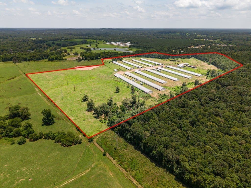 50 acres in Texas County gallery image 4