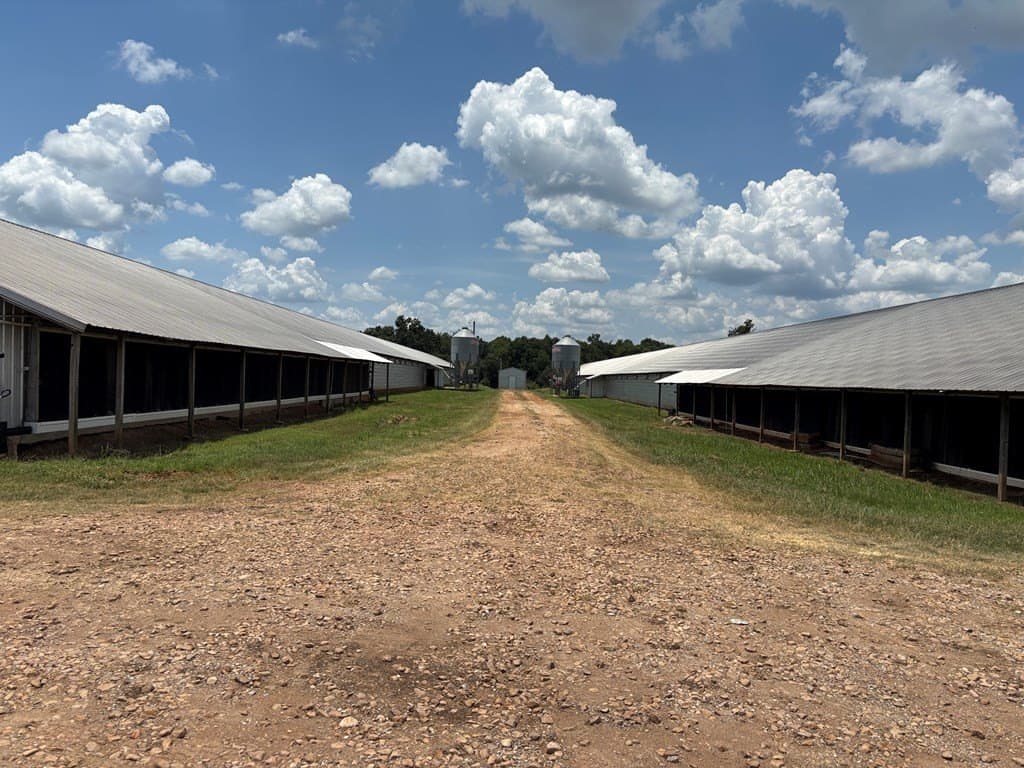 50 acres in Texas County - photo 26